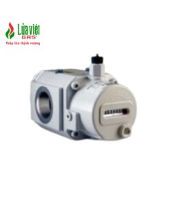 ĐỒNG HỒ ĐO LƯU LƯỢNG QUAY RVG-ST G10-G25