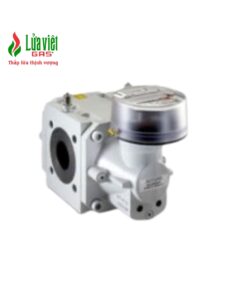 ĐỒNG HỒ ĐO LƯU LƯỢNG RVG G16-G400