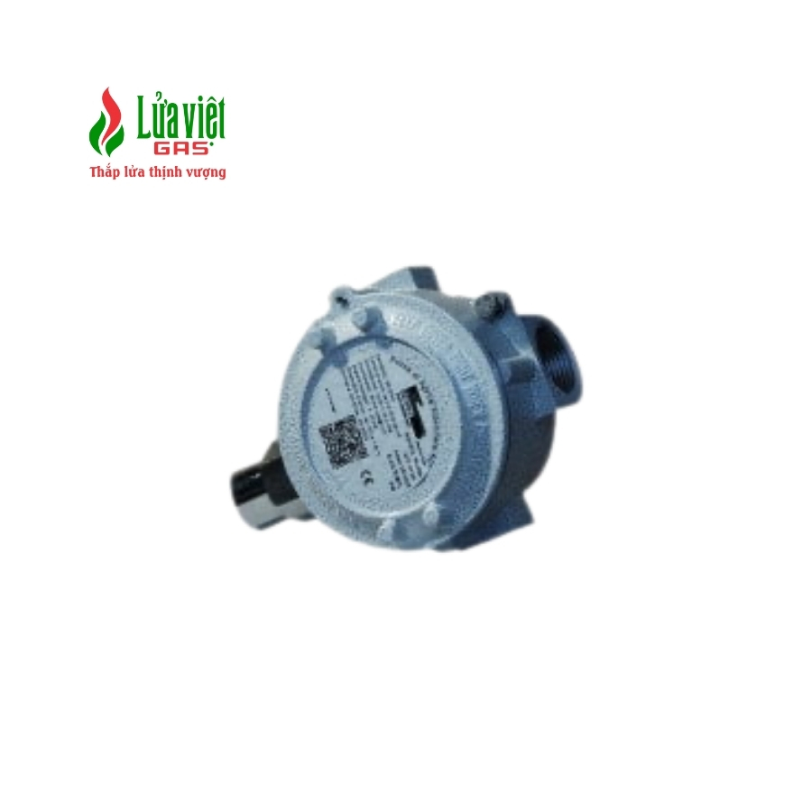 Đầu dò khí BeiNat SG580MET (Dò khí Methane)