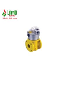 Đồng hồ tính lưu lượng gas EQZ G25