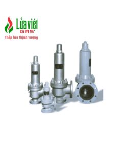 VAN AN TOÀN NỐI BÍCH WSLT-5124M(S) (LPG)