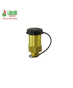 Van an toàn đường ống Fisher - xuất xứ Mỹ
