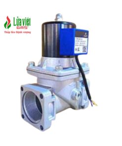 Van điện từ DN20