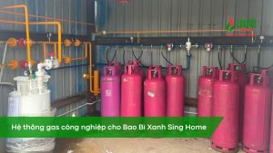 Bao bì xanh Sing Home