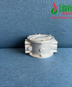 Lọc gas WFM40P Warmfvalve – China