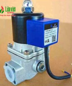 Van điện từ DN25