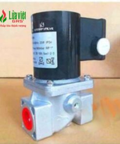 Van điện từ Warmfvalve DN20