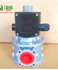 Van điện từ Warmfvalve DN40